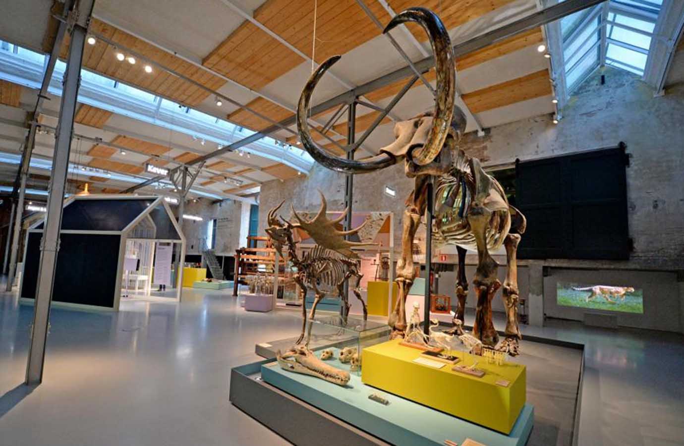 Ontdek het culturele hart van Enschede: de meest iconische musea en galerieën